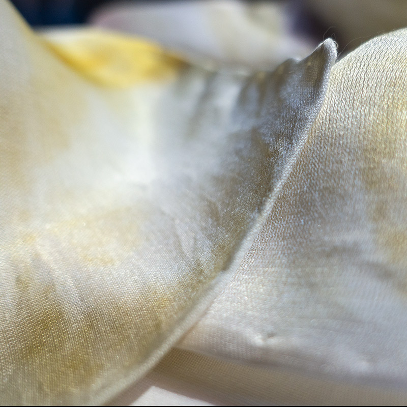 plant and flower dying silk in a natural and ethical way